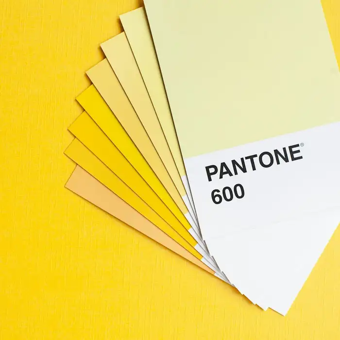 Premium Brand Identity